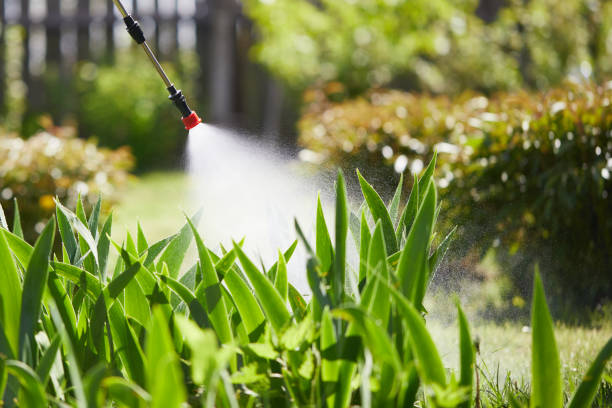 24/7 Emergency Mosquito Control experts in Signal Mountain, TN