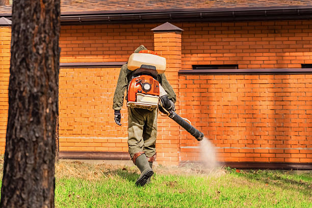 Top rated local Mosquito Control specialists in Signal Mountain, TN